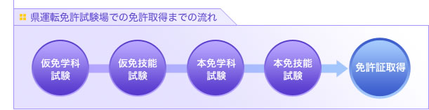 免許取得までの流れ